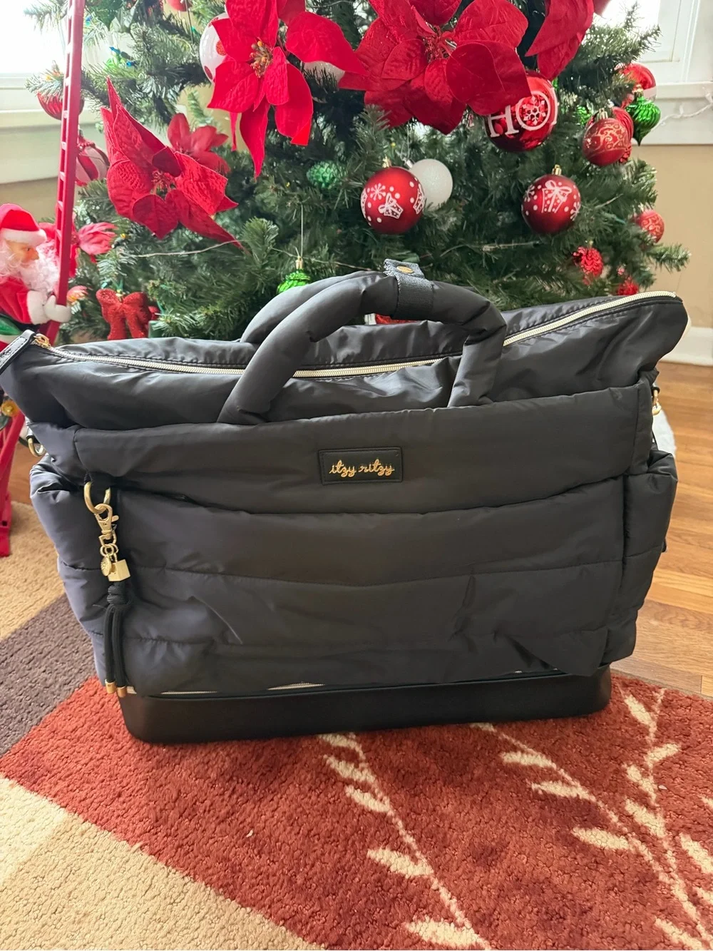 Itzy Ritzy padded holders spacious